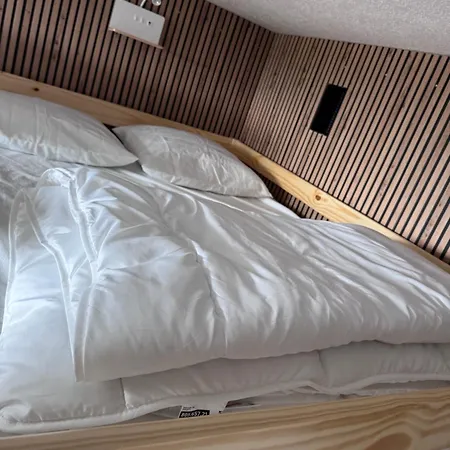 4 Personnes Super Centre De Station Avec Balcon Vue Sur Les Montagnes Besse-et-Saint-Anastaise